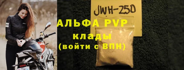 сатива Белокуриха