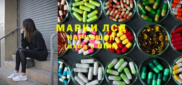 сатива Белокуриха