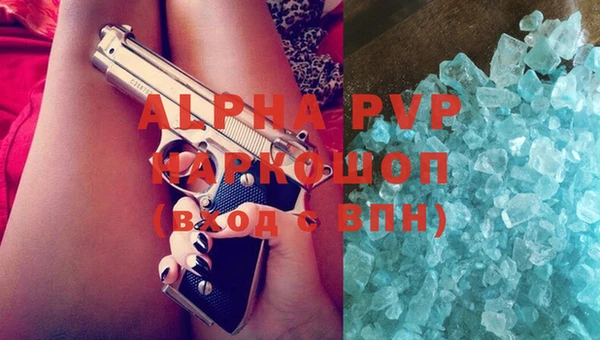 сатива Белокуриха