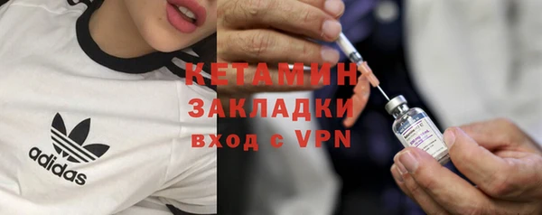 сатива Белокуриха
