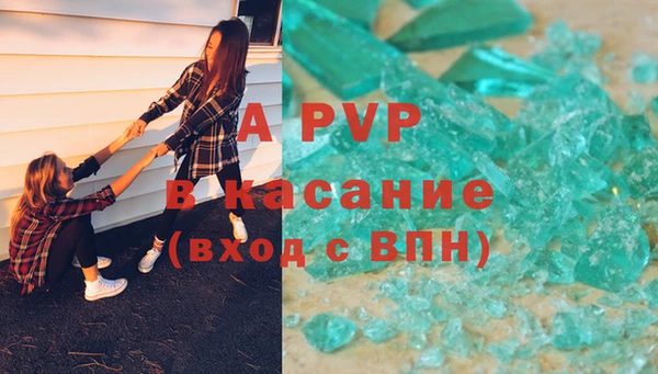 сатива Белокуриха