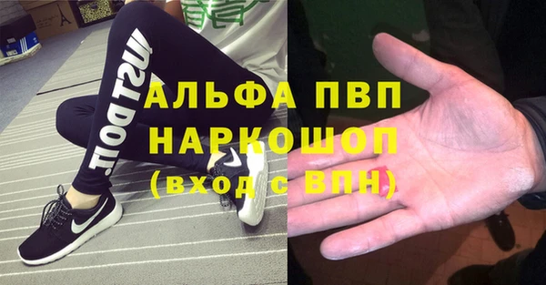 сатива Белокуриха