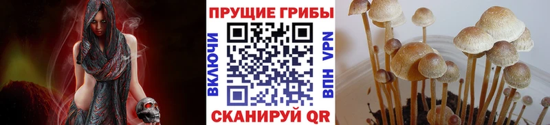 Псилоцибиновые грибы GOLDEN TEACHER Первомайск